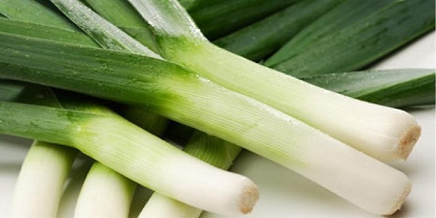 Pırasa üreticileri bu yılki verimden memnun