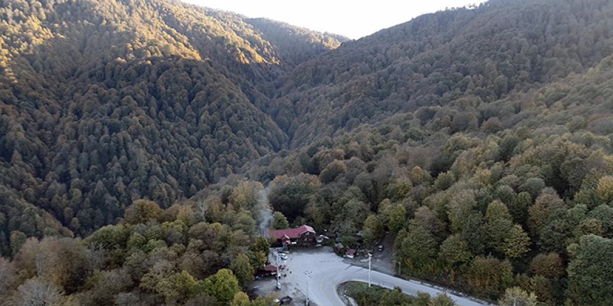 Doğal güzellikleri ile bilinen Maşukiye, sonbaharda tatilcilerin ilgi odağı oldu