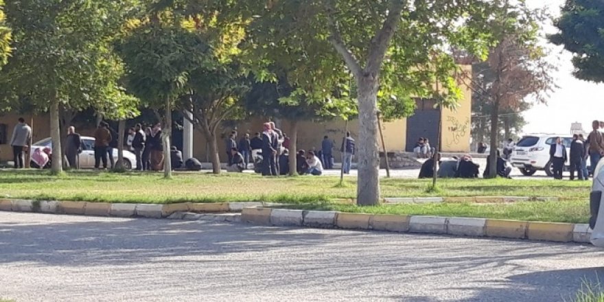 Suriyeliler ülkelerine dönmek için sınırda