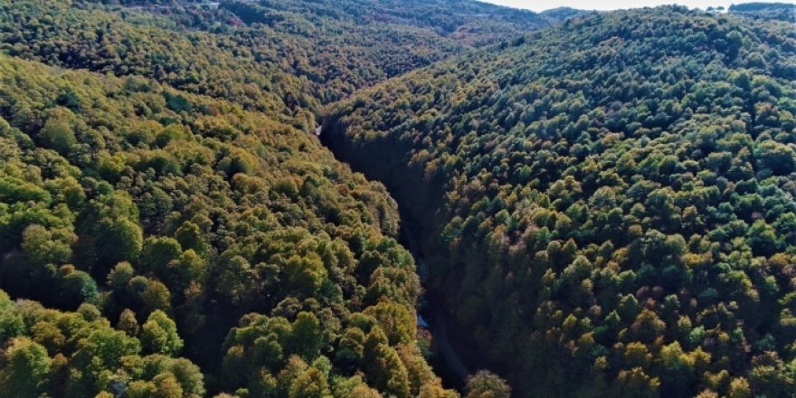 Uludağ'da renk cümbüşü