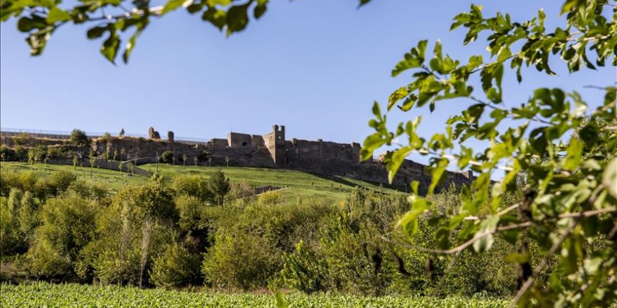 8 bin yıllık Hevsel Bahçeleri'nde güz renkleri
