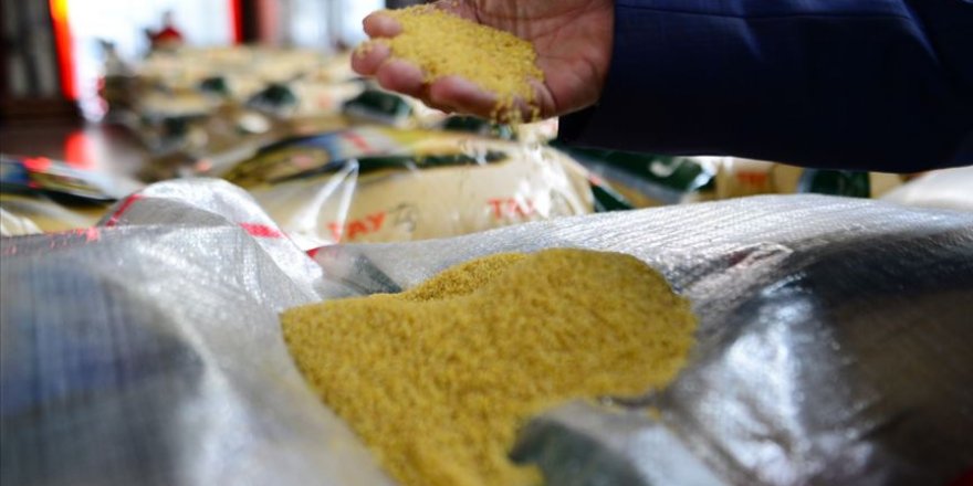 'Mezopotamya güneşi' tescile kavuştu