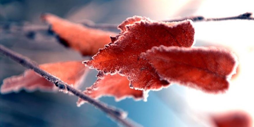 Ardahan ve Kars'ta sıcaklık eksi 9 dereceyi gördü