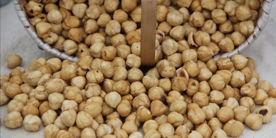 Fındık ihracatında yeni rota: Hindistan, Rusya, Meksika ve Brezilya