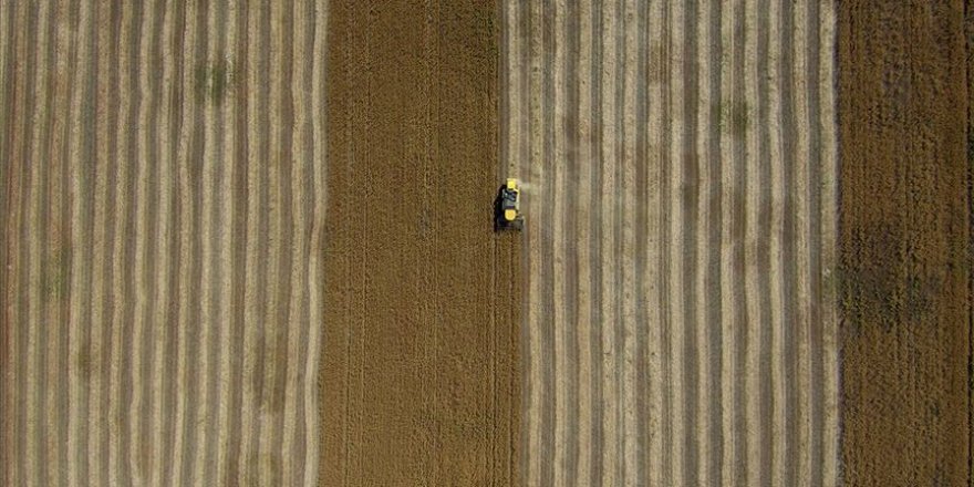 Türkiye'nin e-tarım stratejisi belirlenecek