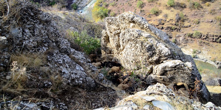 Bitlis'te uçurumdan düşen 315 koyun telef oldu