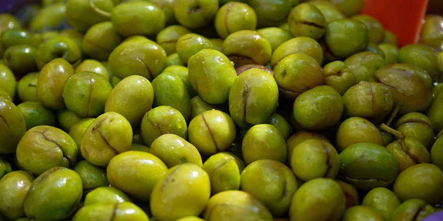 Zeytinde 'kırma' mesaisi