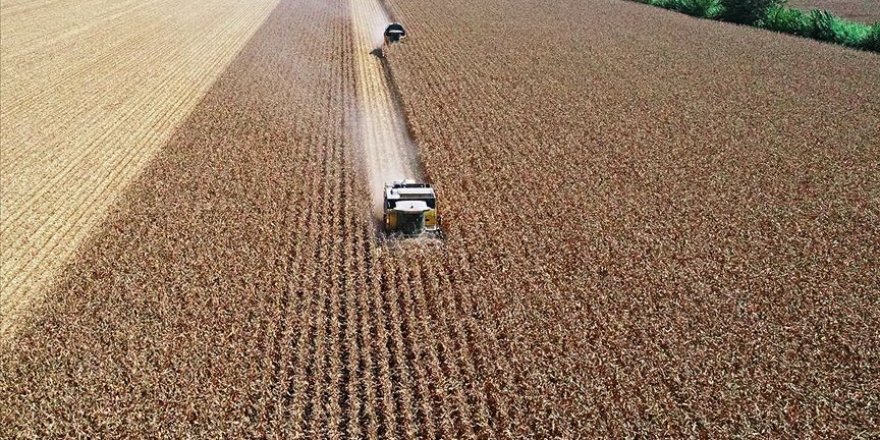 Tarımsal desteklere 'girdi maliyeti' ayarı