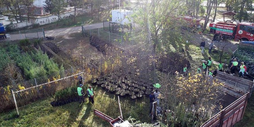 Ormancılar 'rekor etkinliğe' hazırlanıyor