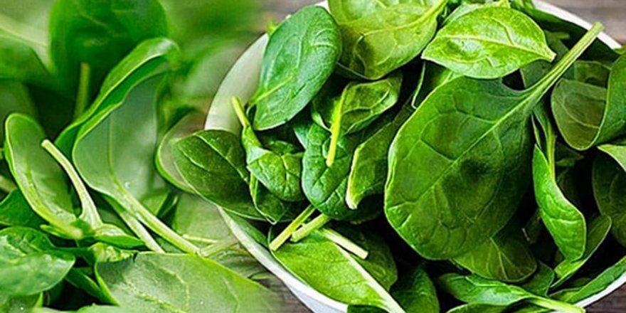 Zehirlenme vakalarından sonra zirai ilaçların analizi yapıldı