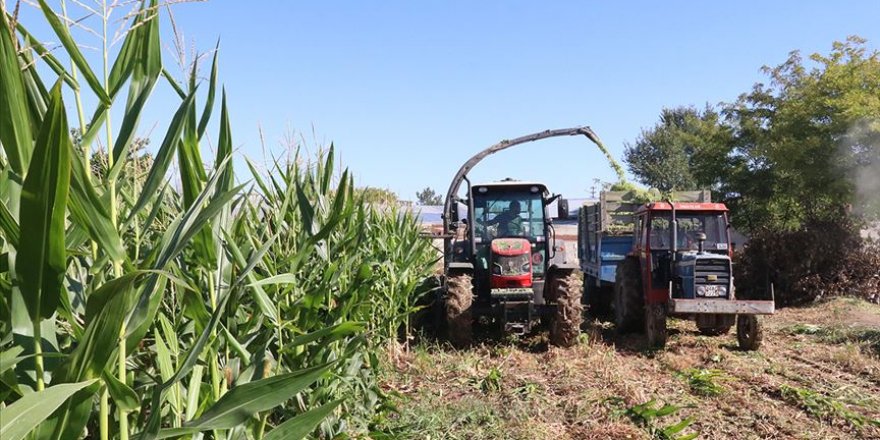 Çiftçilere 284 milyon liralık destek