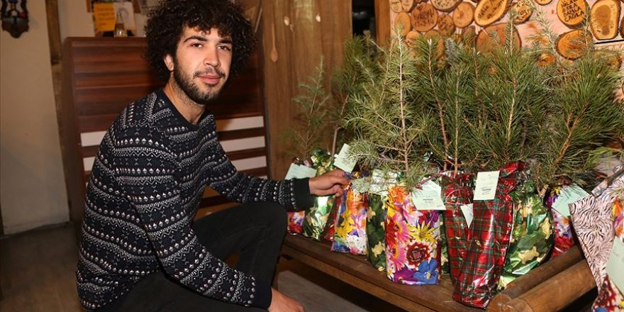 Kahveler fidana dönüştü