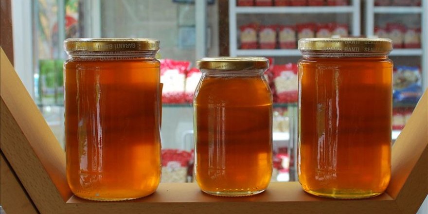 TÜBİTAK: Bütün yaraların üstüne bal sürün