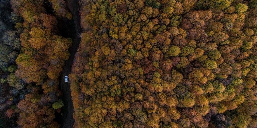 Kışın gözdesi Uludağ sonbaharda da göz kamaştırıyor