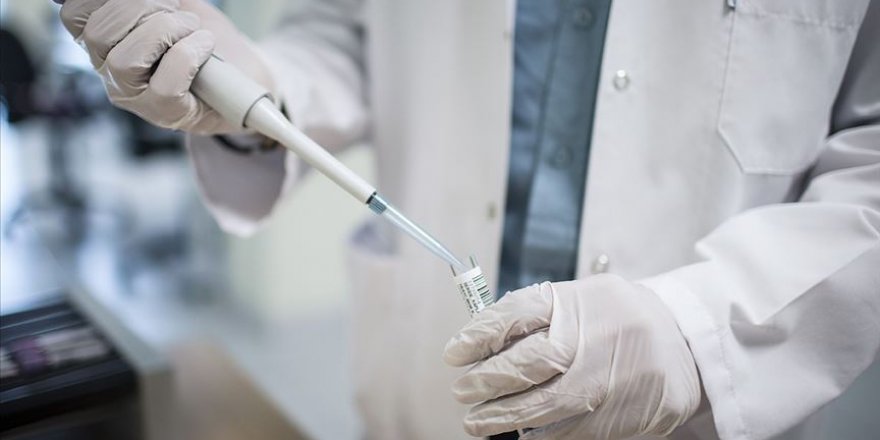 HIV'in yeni bir türü saptandı