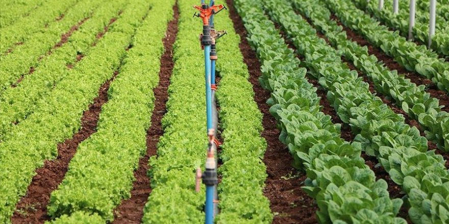 Aksaray modern seracılıkta markalaşmak istiyor