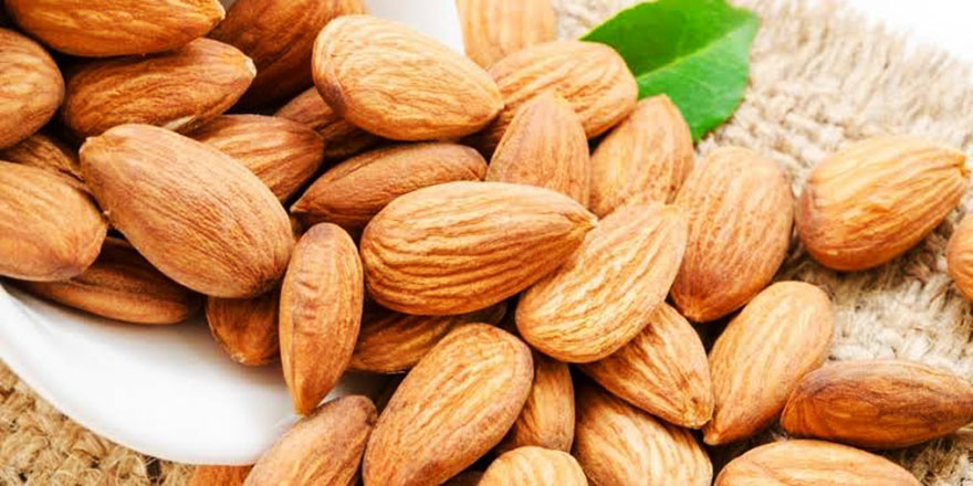 Badem hasat sezonu başladı