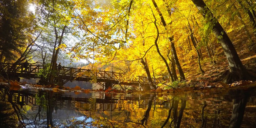 Bolu ve Düzce, sonbahar güzelliğine büründü