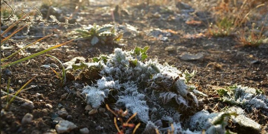 Bayburt'ta hava sıcaklığı geceleri sıfırın altına düştü