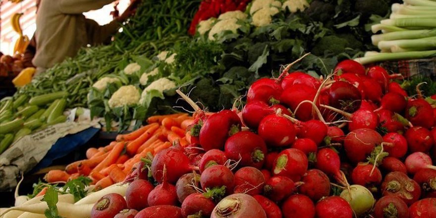 Kışlık sebzede yerli hat ve türler geliştirilecek