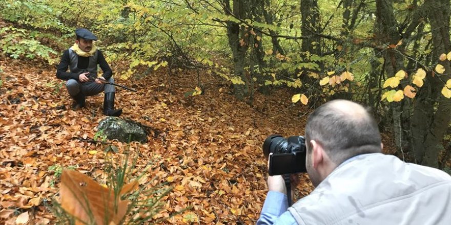 Demirci ormanlarında hazan renkleri