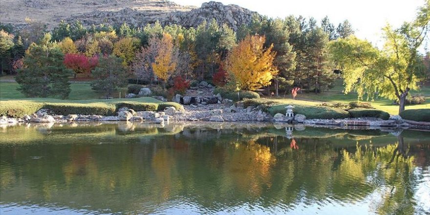 Kırşehir'deki Japon Bahçesi'nde sonbahar güzelliği yaşanıyor