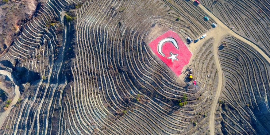 81 ilde 11 milyon fidan toprakla buluştu