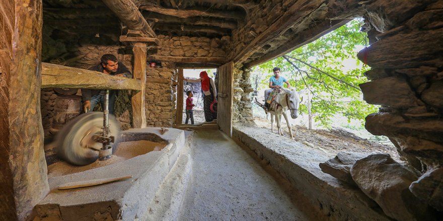 Kursunç pirinci 150 yıllık değirmende öğütülüyor