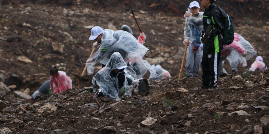 Manisa en çok fidan sahiplenmeyle Türkiye 1.'si oldu