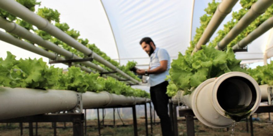 Suyun içinde üretti, 12 ay satıyor