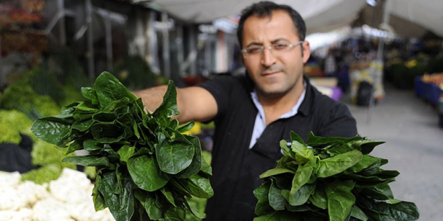 Fiyatlar düşünce ıspanak satışları arttı