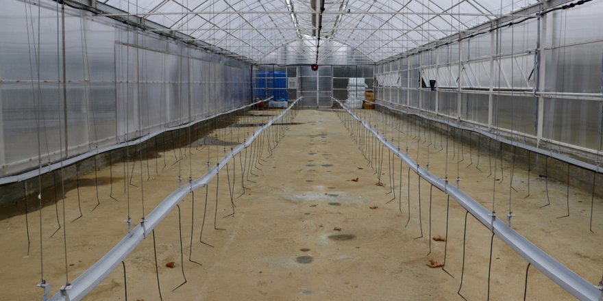 Eski okul binası bilime ve tarıma hizmet edecek