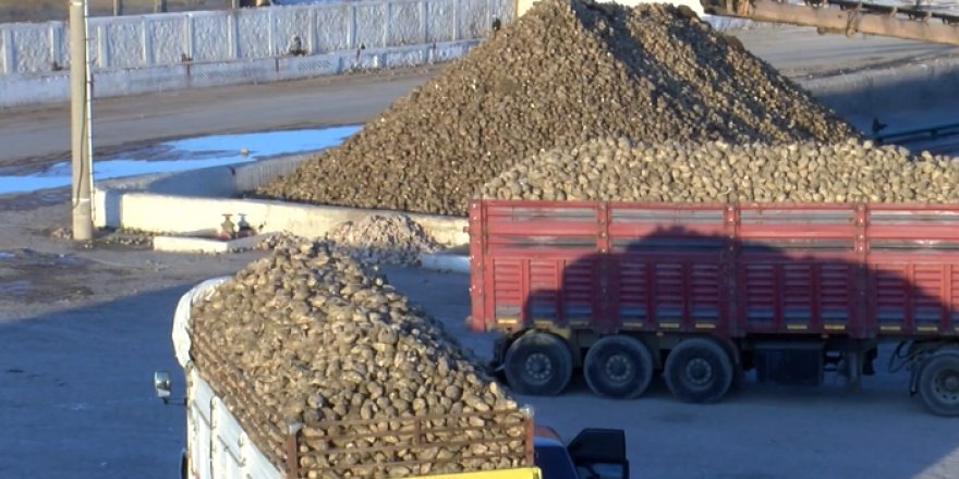 Malatya Şeker Fabrikası'nda 25 yılın rekoru kırıldı