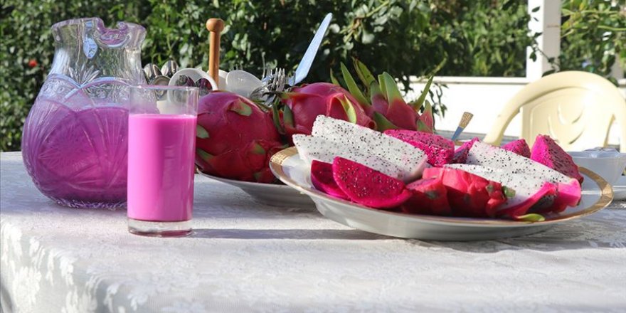 Ejder meyvesi Egeli üreticiye de umut oldu