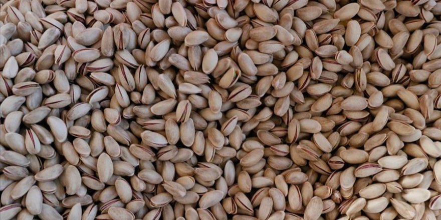 Türkiye'den 10 ayda 93 ülkeye Antep fıstığı ihraç edildi