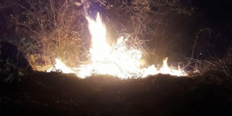 Düzce'deki orman yangınında 10 dönüm arazi küle döndü