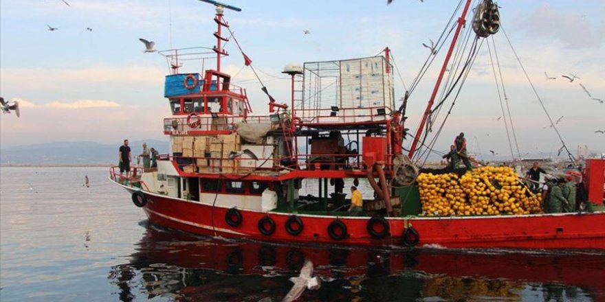 Bandırmalı balıkçılar palamut ve lüfere hasret