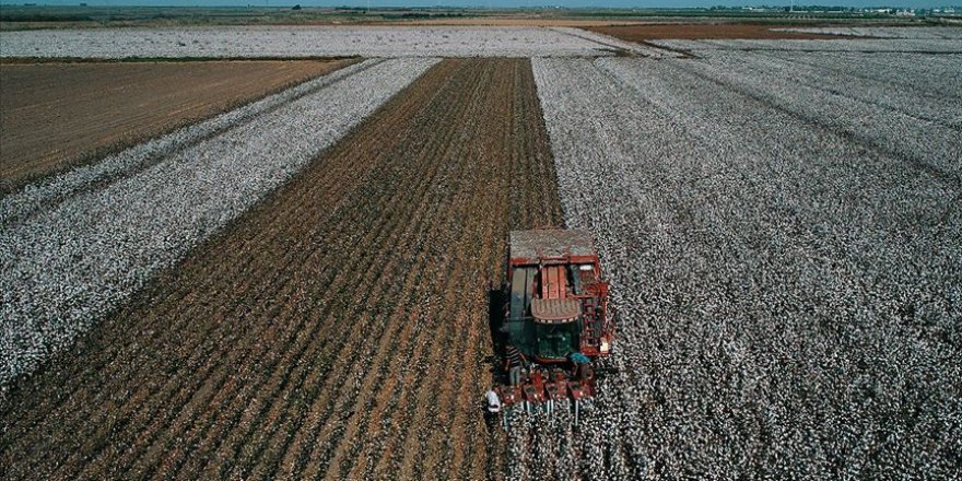 Tarımsal desteğe 2020'de 22 milyar lira ayrıldı