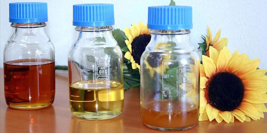 Türkiye'de biyodizel üretimi rekora koşuyor