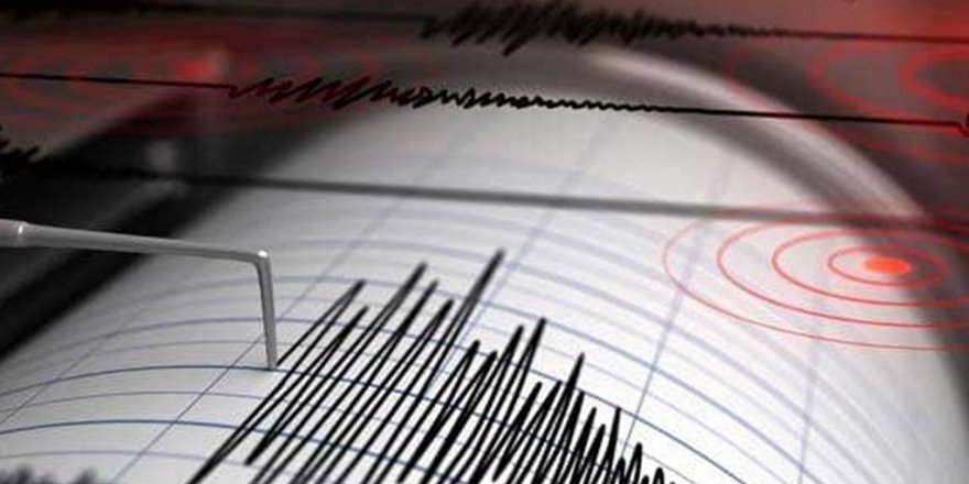 9 büyüklüğündeki depremde bile evleri yıkılmayan Japonlardan tavsiye