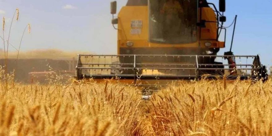 Tarım ve gıda sektörü başarı hikayesi yazdı