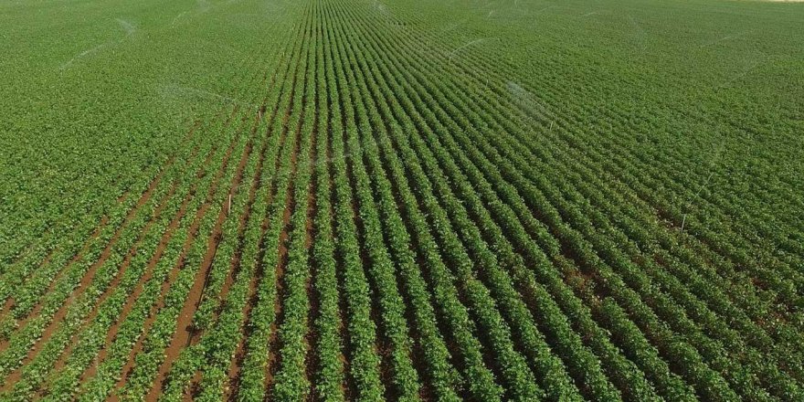 Sulama hibeleri ödenmeye başlandı