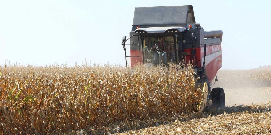 Mardin Ovası’nda mısır hasadı başladı