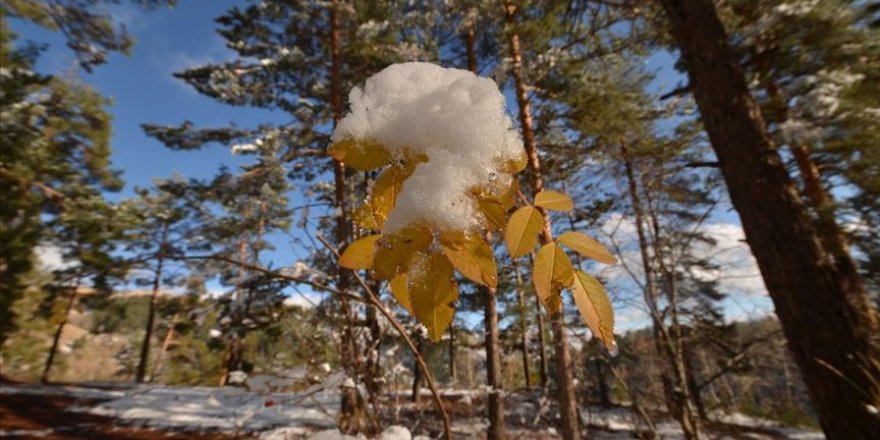 Doğu Anadolu'da sıcaklıklar 5 ilde sıfırın altına düştü