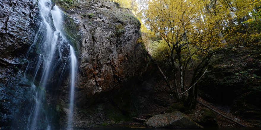 Baklabostan Tabiat Parkı'nda hazan güzelliği