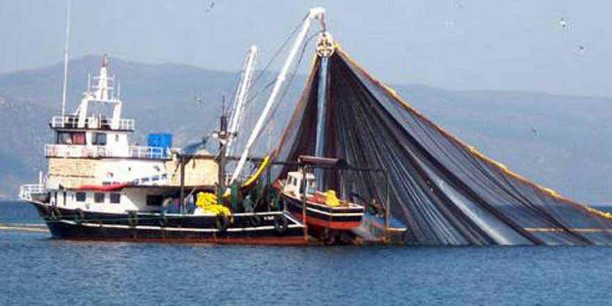 Türkiye Karadeniz'de kalkan balığı kotasında en büyük paya sahip oldu