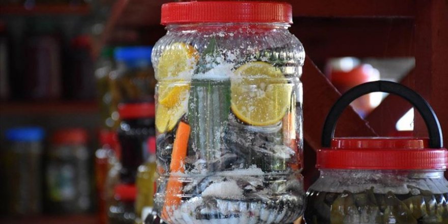 Karadeniz'de hamsi salamurası zamanı