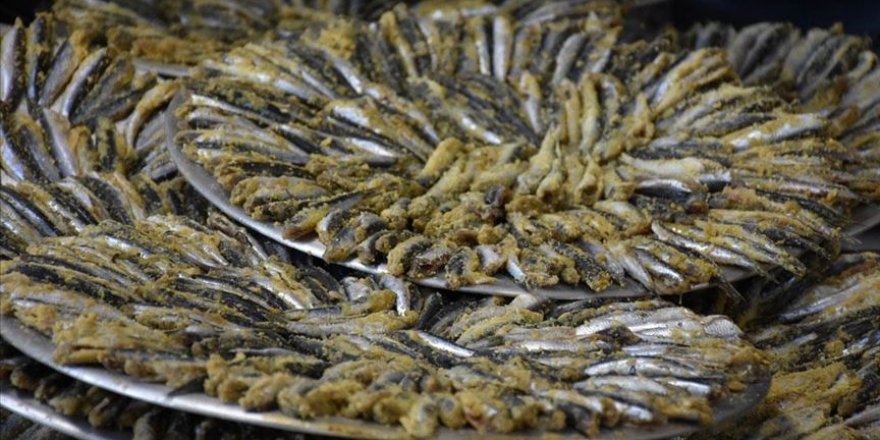 Ordu'daki şenlikte 1,5 ton hamsi tüketildi