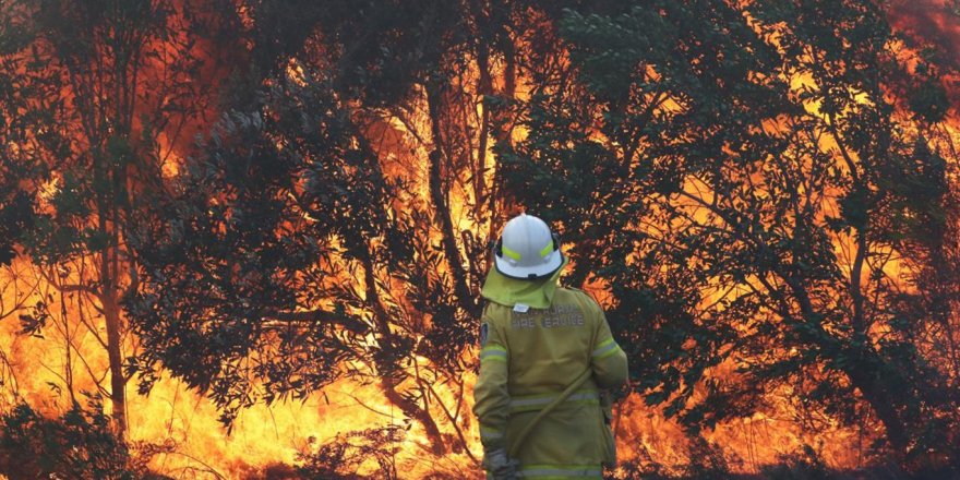 Avustralya'da orman yangınları 10 gündür sürüyor