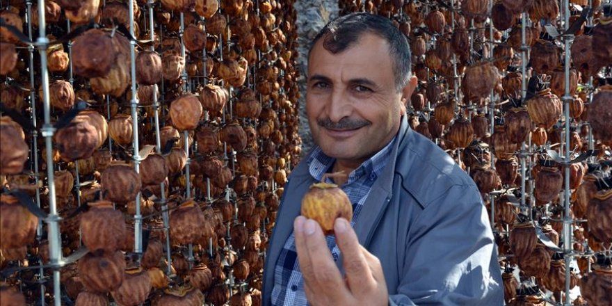 Cennet hurmasını kurutup 1 lira yerine 23 liradan satıyor